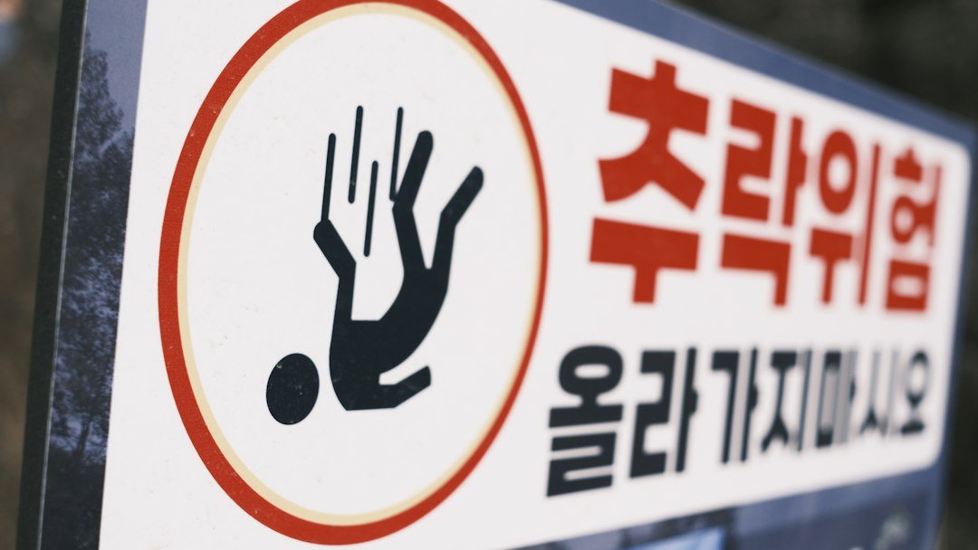조기교육 참고 이미지 2